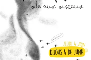 Concert de Brusilhadis
