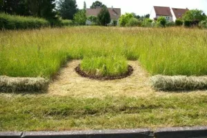 Initiation au Land Art : la vue