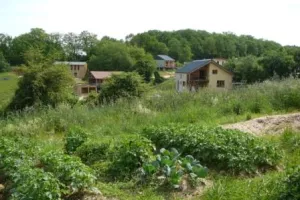 Andralofolies