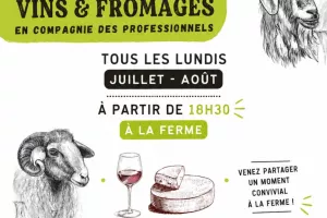 Dégustation vins et fromages en compagnie des professionnels