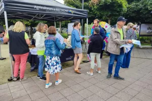 Marché de Vannes