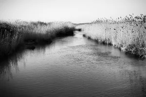 Exposition de photographies et haïkus