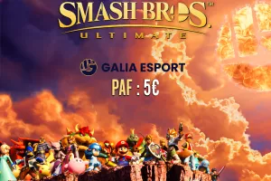 Tournoi Super Smash.Bros.Ultimate au Bar à jeux Game Bearer