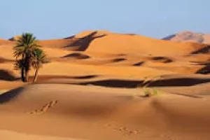 Contes et légendes du Sahara