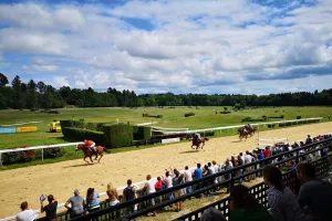 Courses hippiques : Hippodrome en famille