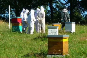 Visite du Rucher d'Artémis