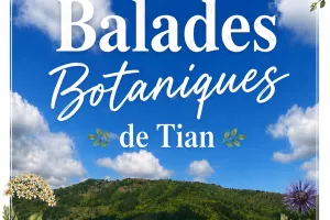 BALADE BOTANIQUE CONTÉE