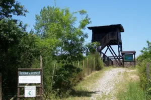 La Réserve de Chasse et de Faune Sauvage de Lesgau