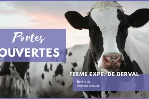 Portes ouvertes - Formations en élevage bovins lait et en grandes cultures (44)