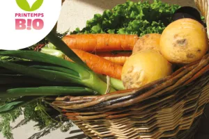 Marché de producteurs bio et locaux