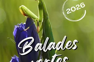 Balades Vertes en Haute-Marne : Promenade bucolique en compagnie des oiseaux de notre région