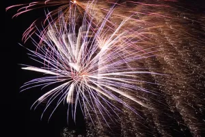 Festivités du 14 juillet : concert, bal et feu d'artifice