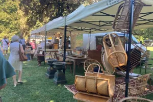 Brocante professionnelle