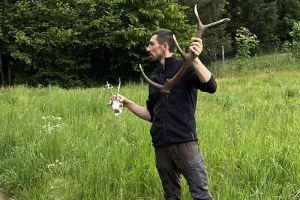 Balade nature : les secrets de la forêt autour de La Petite Pierre
