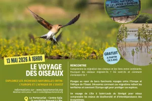 Le voyage des oiseaux
