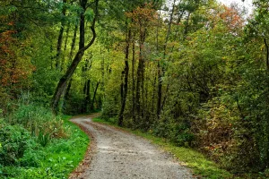 A la rencontre de la Forêt de Navarrenx puis Mirasou