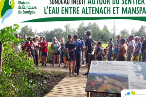 Autour du sentier de l'eau entre Altenach et Manspach