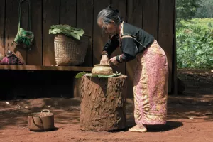 LES CHEMINS DU DOC : NOUS SOMMES LES FRUITS DE LA FORÊT