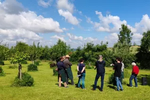 Visite découverte du verger et des vignes de Claracq
