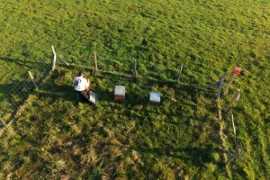 Atelier apiculture - Découverte des ruches