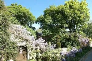 Visite guidée du Jardin des Tours de Mont Saint Éloi