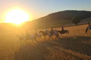 Ferme de Poifond - Agenda Juillet 2026