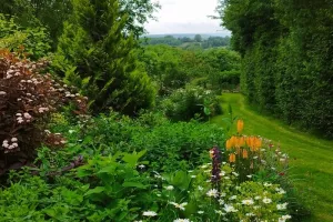 Visite libre découverte du jardin