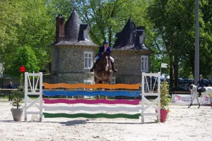 Concours de Saut d'Obstacles Jeunes chevaux