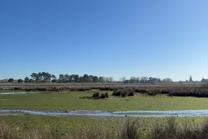 Prés Salés Ouest, découverte faune et flore