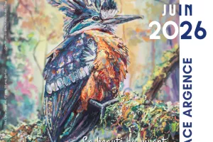 Graines d’artistes du monde entier 2026