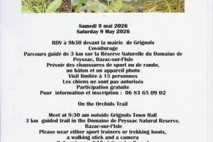 Chemin des Orchidées