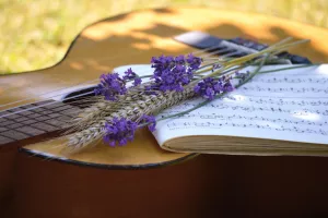 Concert : McKenzie