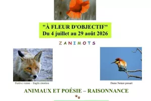EXPOSITION