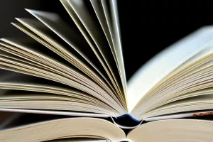 Vente publique des livres désherbés