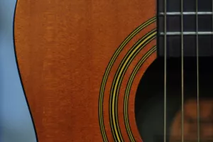Semaine de la guitare - Exposition