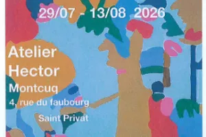 Exposition à l'Atelier Hector :  Thibaut Boyer