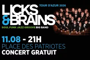 LICKS & BRAINS