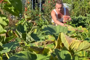 Balade dans "Le coin vert de Stéphane"