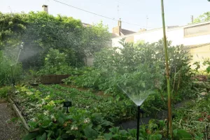 Jardinons ! Atelier "penser l'eau au jardin"