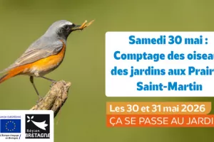 Le comptage des oiseaux des jardins aux Prairies Saint-Martin