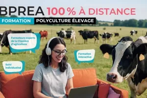 Webinaire - Présentation du BPREA à distance