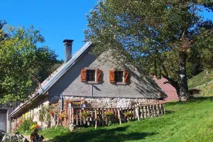 Balade sur les traces des malkers