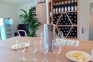 Dégustations de Vins du Jura