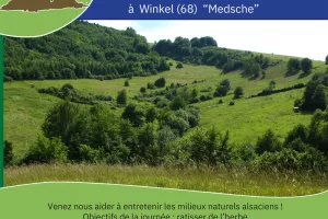 Chantier nature participatif