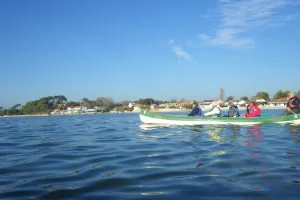 Objectif Bernaches ! En canoë collectif