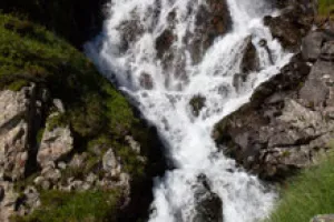 Exposition : La magie de l'eau