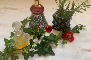 Ateliers de fabrication de cosmétiques biologiques à Lavercantière