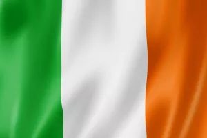 Stage de danses et bal irlandais