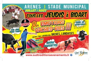 Emotions et vacheries !