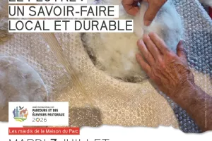 Atelier le feutre : un savoir-faire local et durable